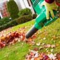 Tips for Using a Leaf Blower This Fall