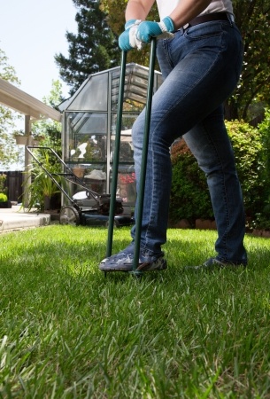 Sprucing Up Your Lawn for Springtime