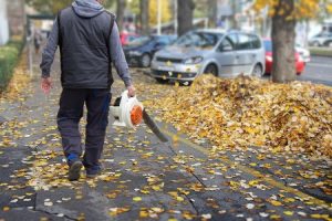 Autumn Has Arrived! Time to Think About Leaf Control