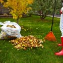 Now Is the Perfect Time to Tackle A Fall Yard Cleanup