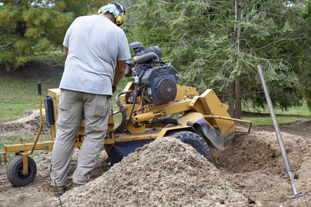 How to Use a Stump Grinder 