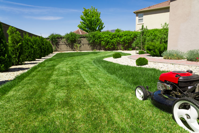 Essential Lawn and Landscaping Tools Every Homeowner Should Rent