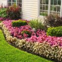 Consider Summer Landscaping Projects for Your Home